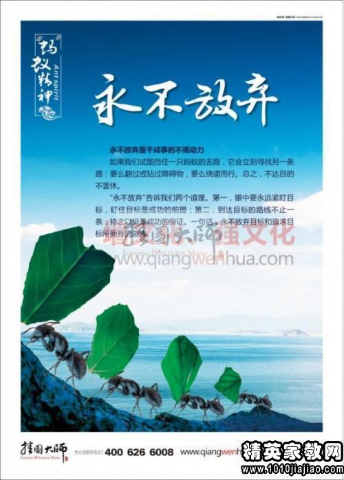 公司的服务口号是霸气