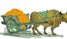 一份耕耘一份收获，付出才有收获，努力才有回报