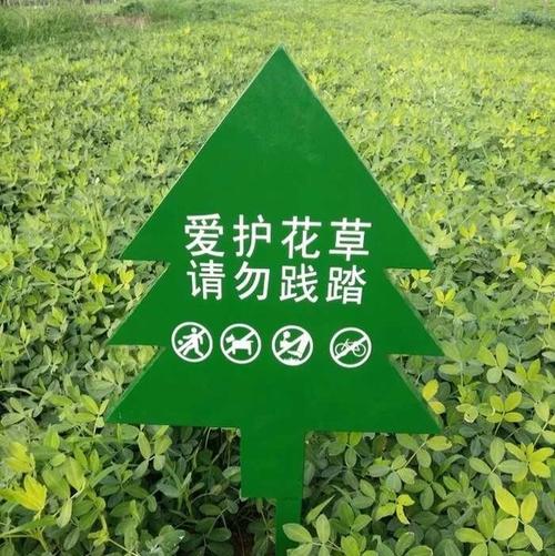 口号