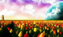 错过机会的句子