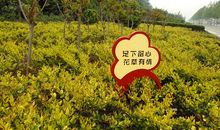 花园标语