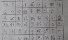 描写鸟外貌的句子