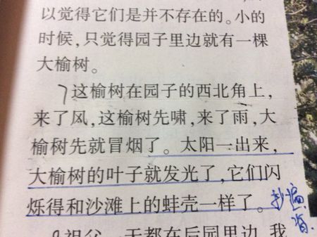 月光的隐喻