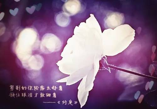 早安美学句