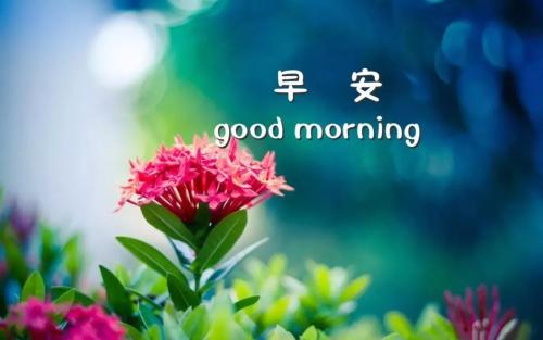 早上好，情侣问候