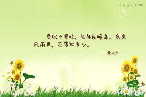 关于鸟类的著名短语