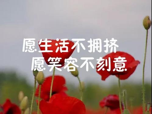 经典句子