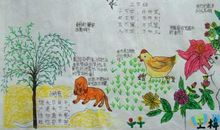 春天的描写句子