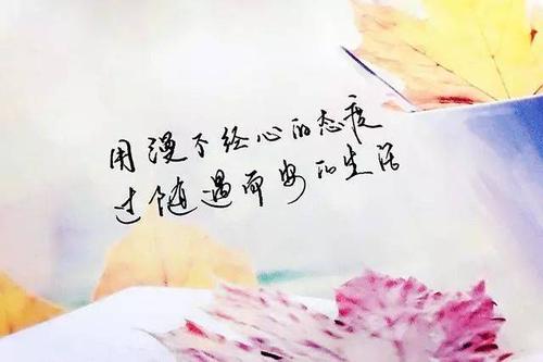 审美生活态度句