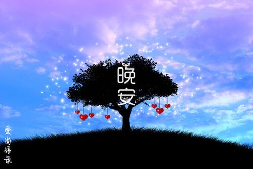甜蜜的晚安