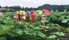 关于描写夏雨的句子