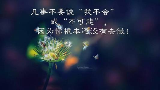 经典句子