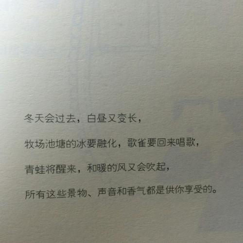 这么一句话