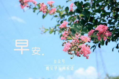 客户早安问候短