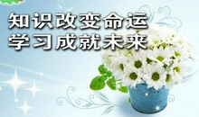 标准化学校迎检标语