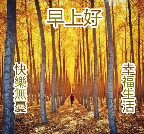 朋友再见