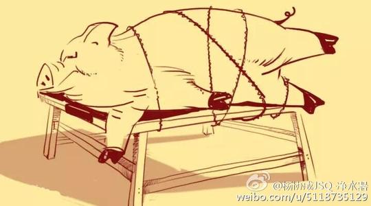 捉死老鼠