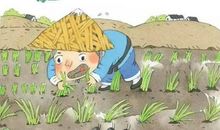 拔苗助长歇后语