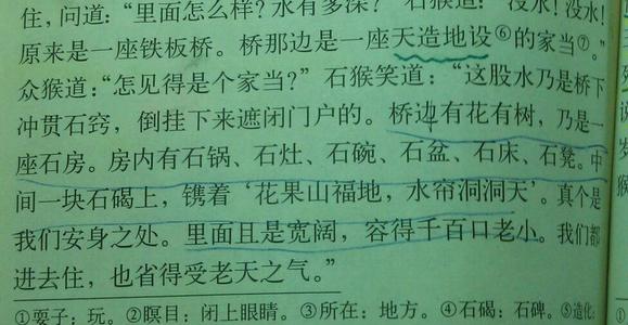 春天的美丽句子