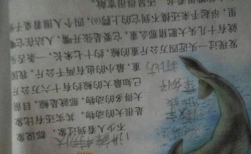 句子在哪里
