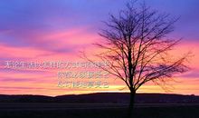 描写五月天气的句子