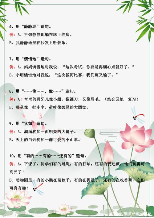 皮娜