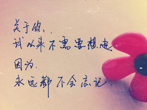 表达友谊的审美句子