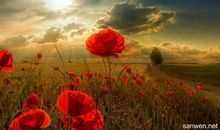 唯美的描写风景的句子