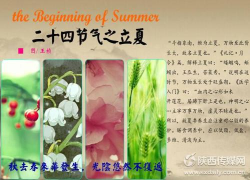 丽夏谚语中医