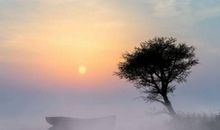 描写雾景的优美句子