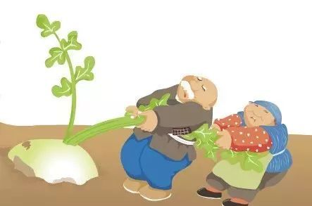 拉萝卜过敏
