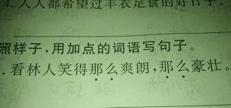 片的
