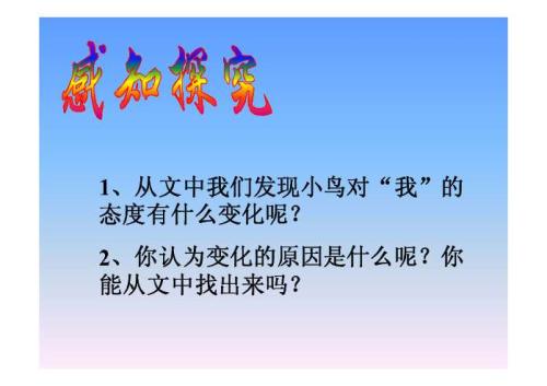 描述珍珠鸟的句子
