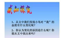 描写珍珠鸟的句子