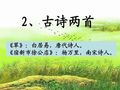 描述小草的强诗