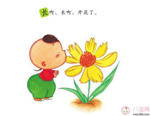 成长的隐喻