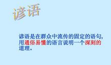 语言精妙的谚语