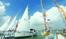 关于马蜂的歇后语