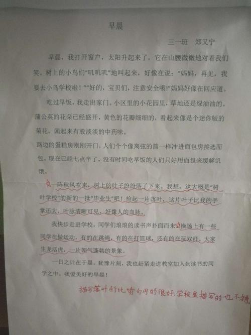 落叶的寓言