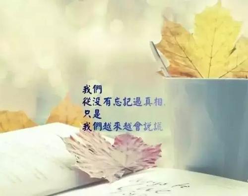 经典情感语录