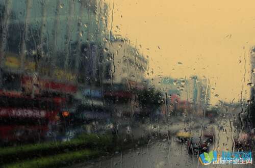 谚语说会下雨