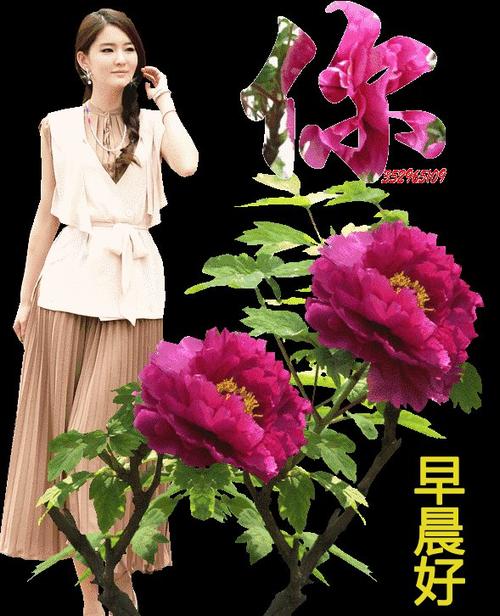 优雅的祝福