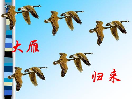 雁的寓言