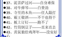 猫的歇后语有哪些