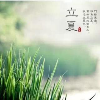 二十四个节气谚语