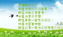 描写小草精神的句子