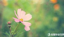 春天到了比喻句