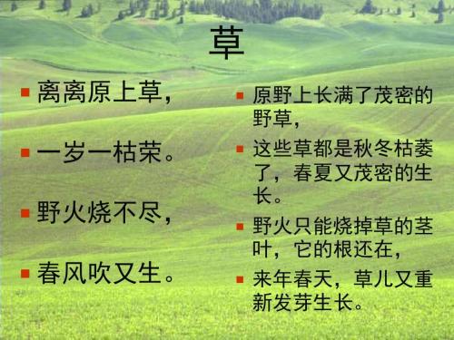 小草的优美话语