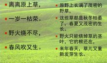 描写小草的优美语段