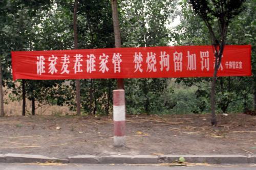 环保标语口号